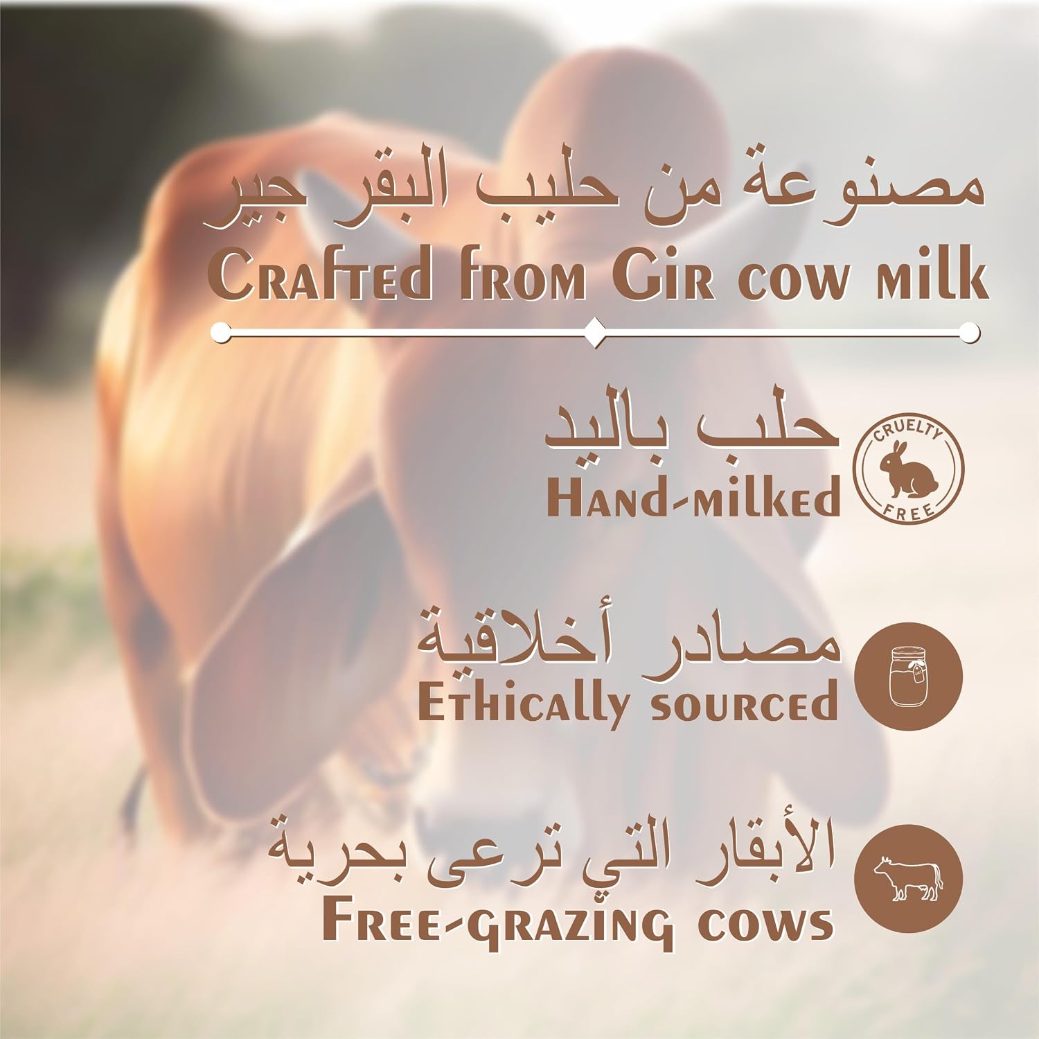 A2 Gir Cow Ghee | Made with Traditional Bilona Method | Grassfed, Pure & Healthy | Natural & Lab-Tested