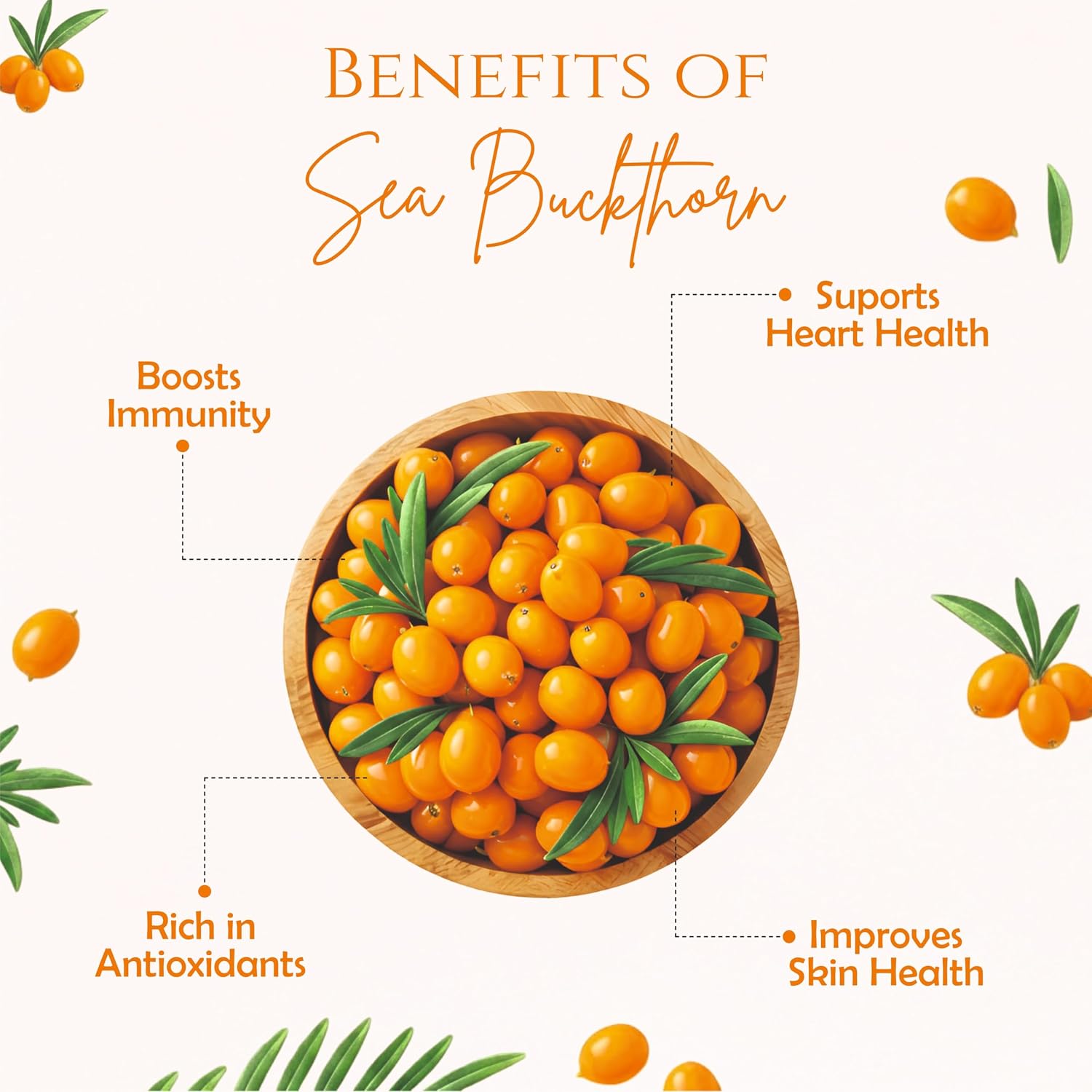 Himalayan Sea Buckthorn Pulp, Cold-Pressed, Enriched with Vitamin C, Omega 3 6 7 9, Antioxidants